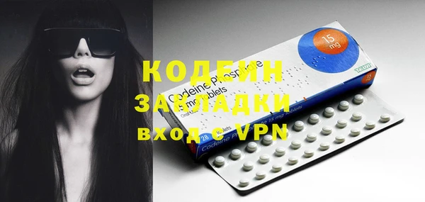 хмурый Карпинск