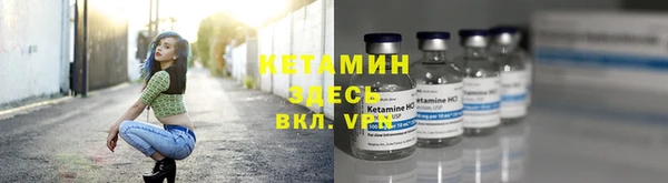 шишки Абаза