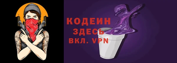 шишки Абаза