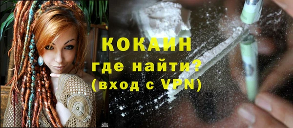 шишки Абаза