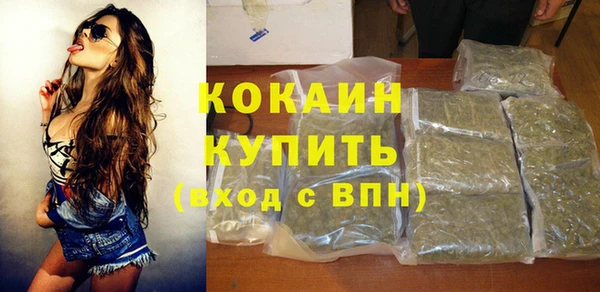 шишки Абаза