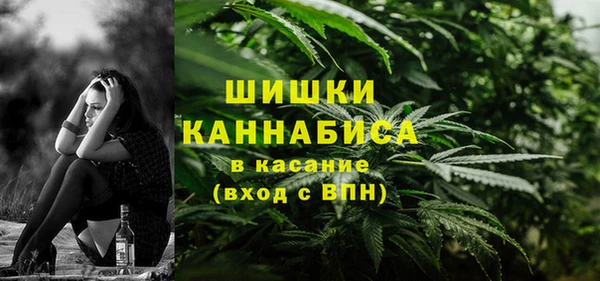 хмурый Карпинск