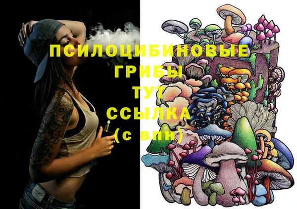 COCAINE Каменногорск