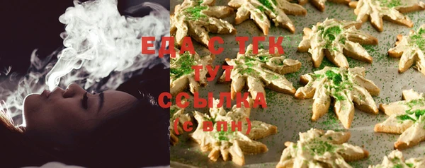 шишки Абаза